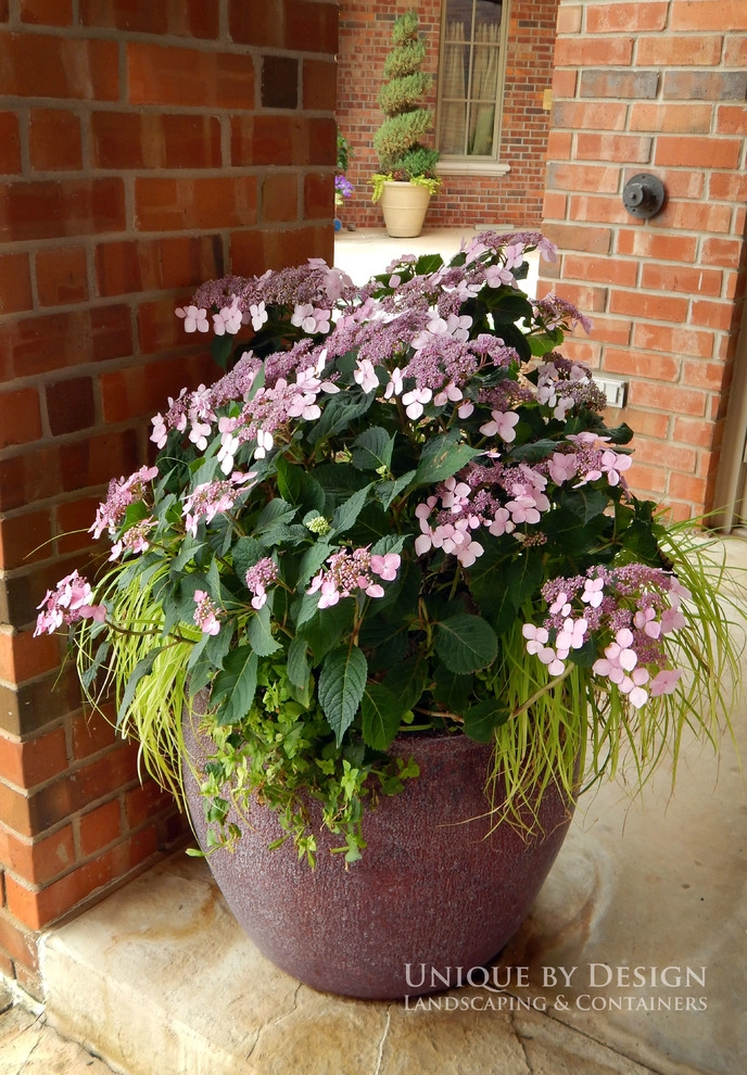 Container Garden Design - Unique by Design l Helen Weis by Unique By Design - Photo 23