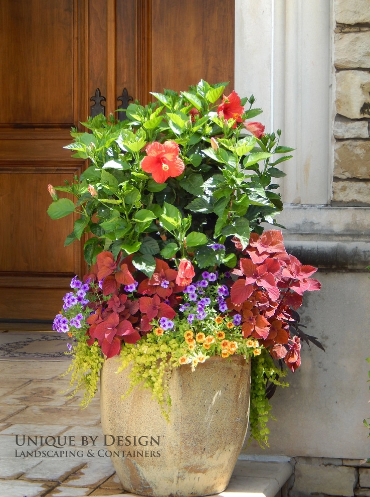 Container Garden Design - Unique by Design l Helen Weis by Unique By Design - Photo 19