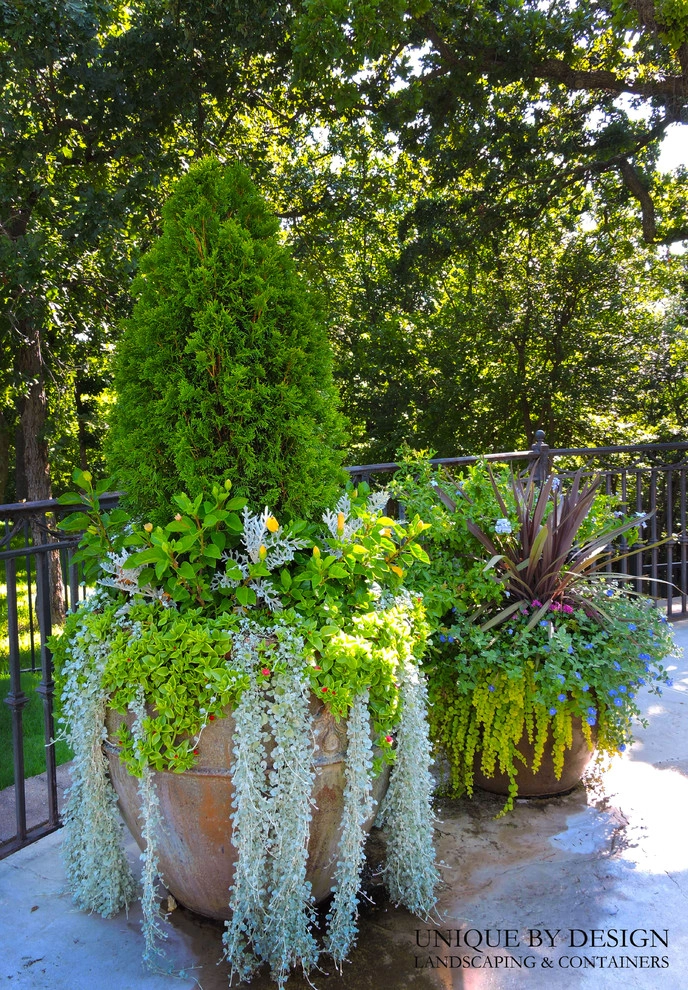 Container Garden Design - Unique by Design l Helen Weis by Unique By Design - Photo 44