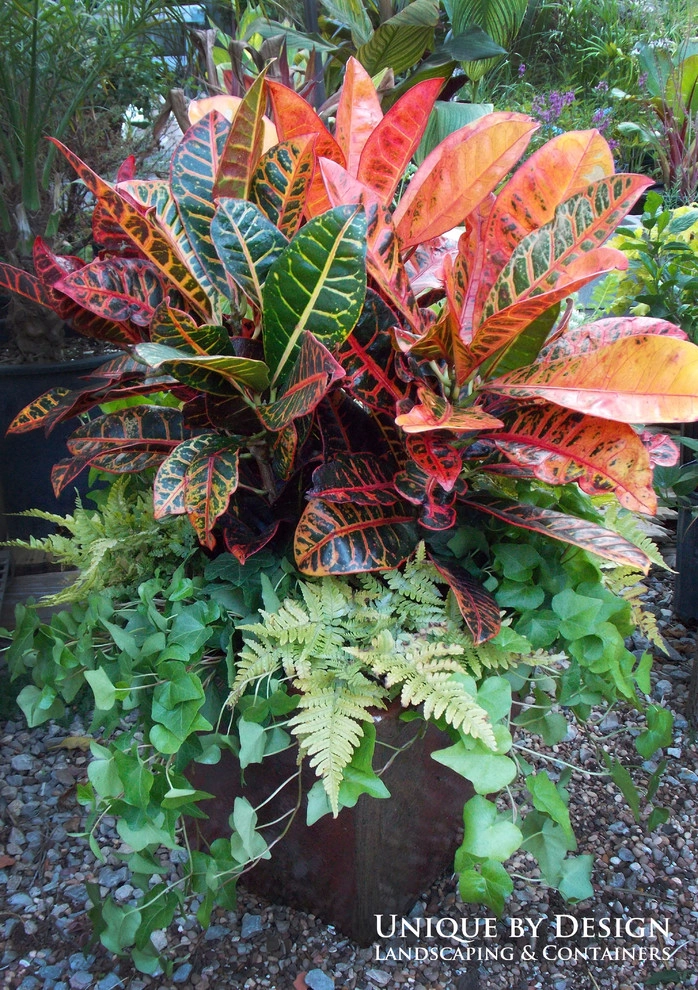 Container Garden Design - Unique by Design l Helen Weis by Unique By Design - Photo 31
