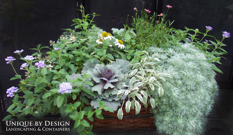Container Garden Design - Unique by Design l Helen Weis by Unique By Design - Photo 41