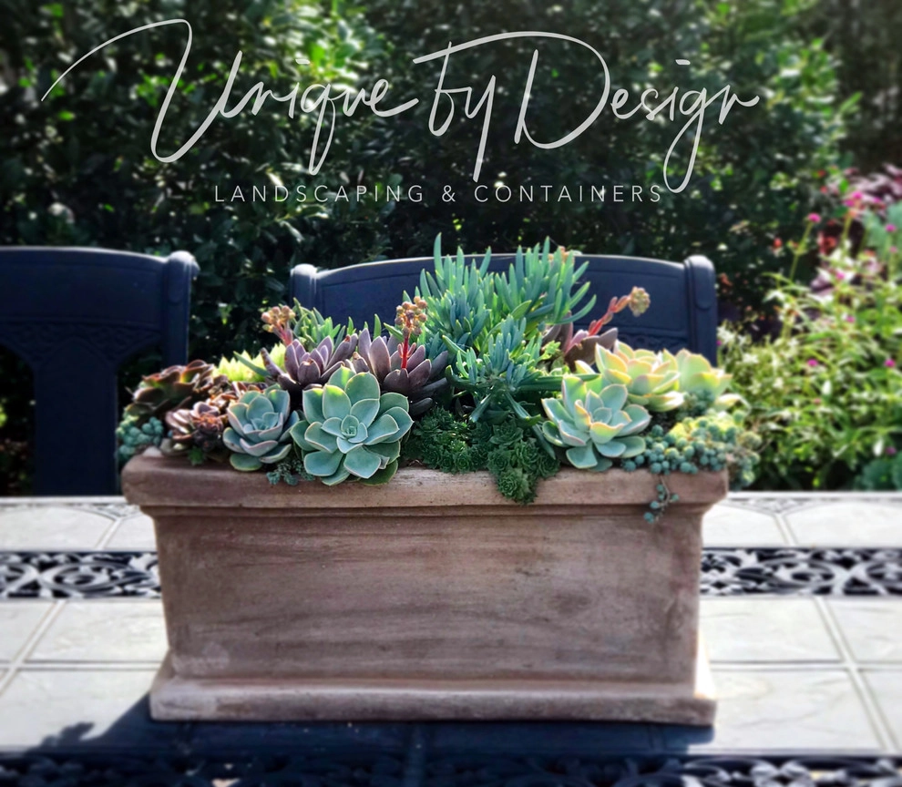 Container Garden Design - Unique by Design l Helen Weis by Unique By Design - Photo 46