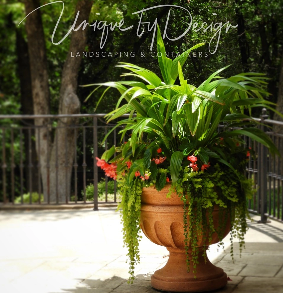 Container Garden Design - Unique by Design l Helen Weis by Unique By Design - Photo 33