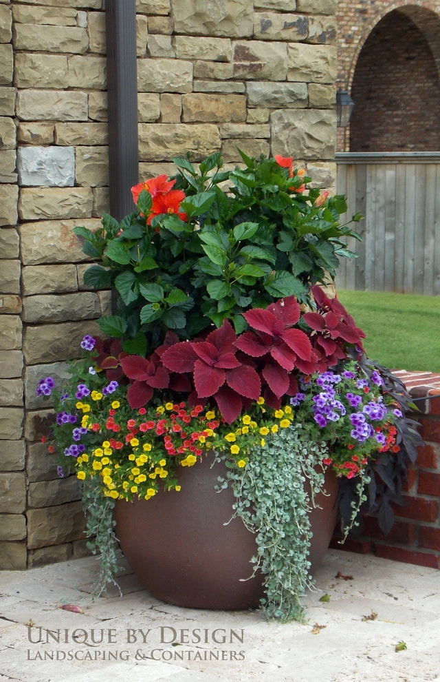 Container Garden Design - Unique by Design l Helen Weis by Unique By Design - Photo 83