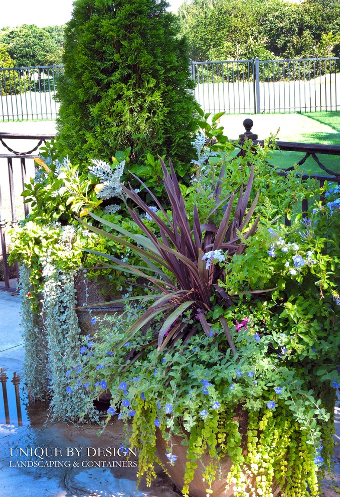 Container Garden Design - Unique by Design l Helen Weis by Unique By Design - Photo 60