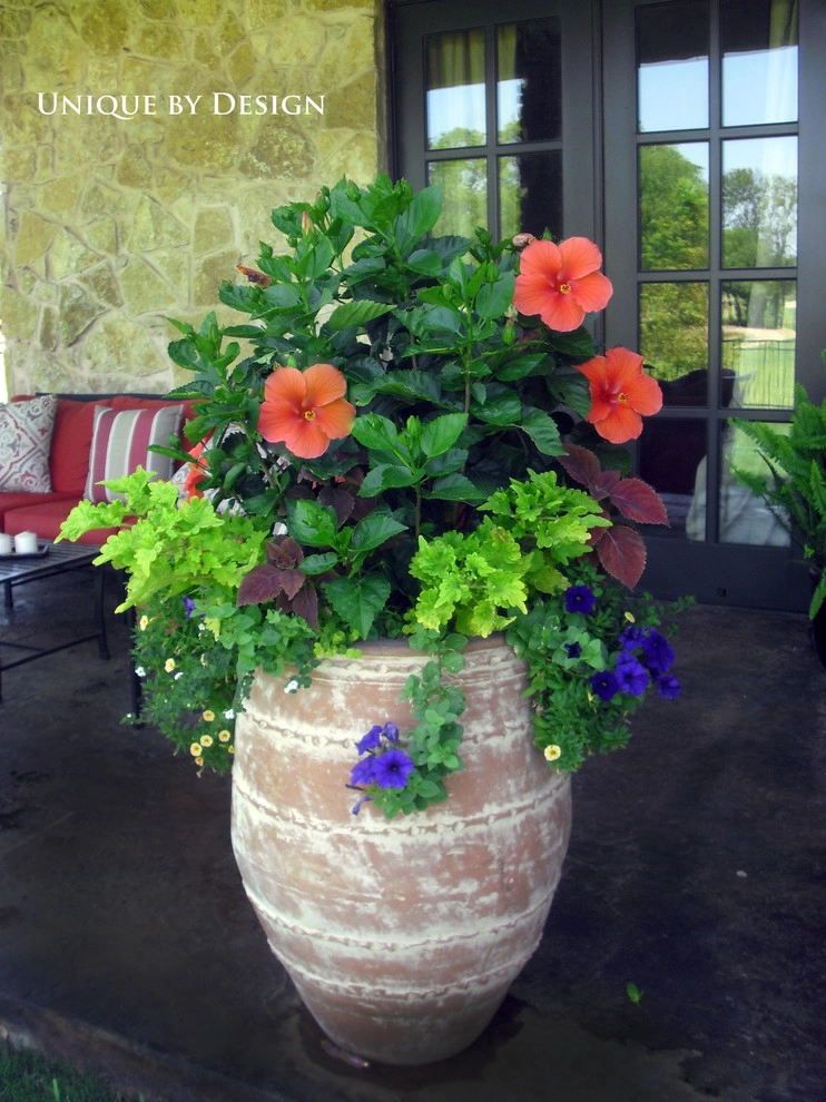 Container Garden Design - Unique by Design l Helen Weis by Unique By Design - Photo 65