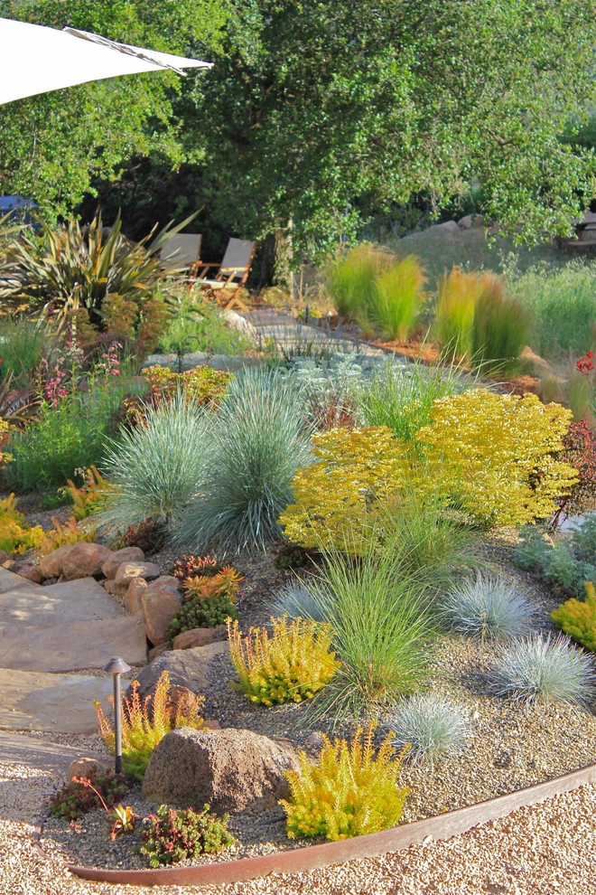 Sonoma by Urban Botanics - Photo 7