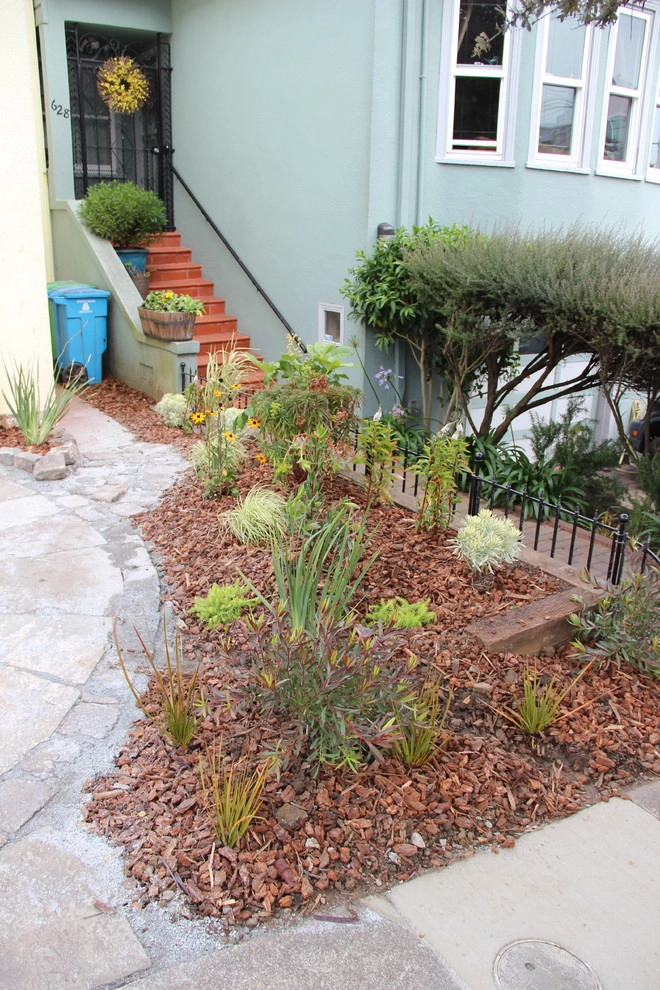 Edna Street by Urban Botanics - Photo 3