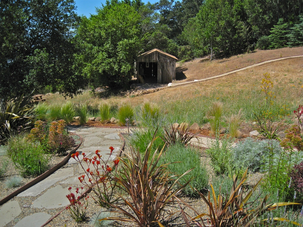 Urban Botanics - Photo 14
