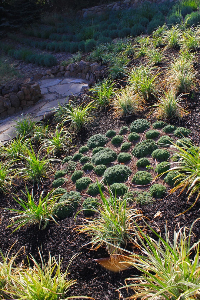 Sonoma by Urban Botanics - Photo 6