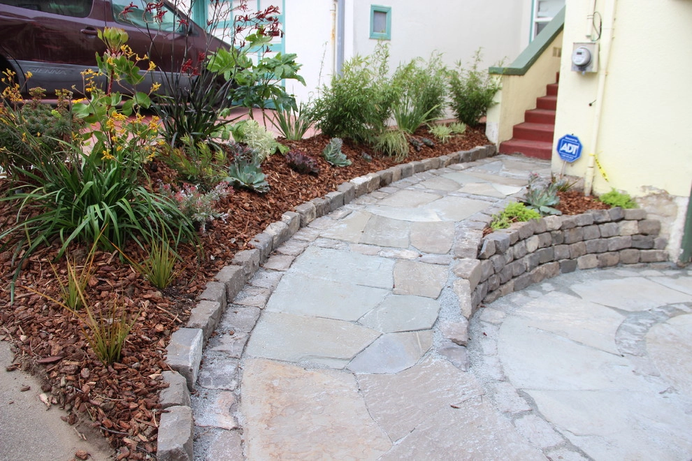 Urban Botanics - Photo 12