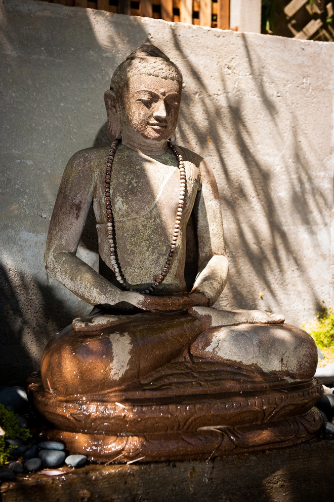 Urban Botanics - Photo 13