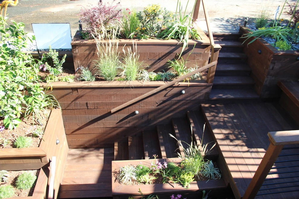 Aitken Street by Urban Botanics - Photo 4