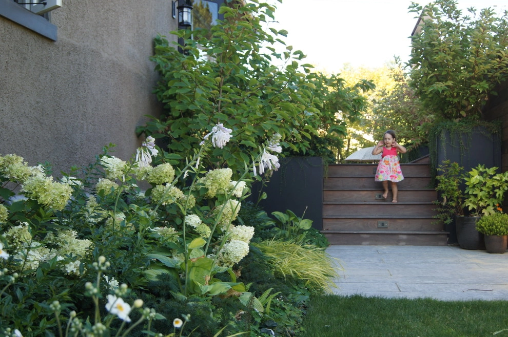 House on a Hill by Berger Partnership - Photo 5