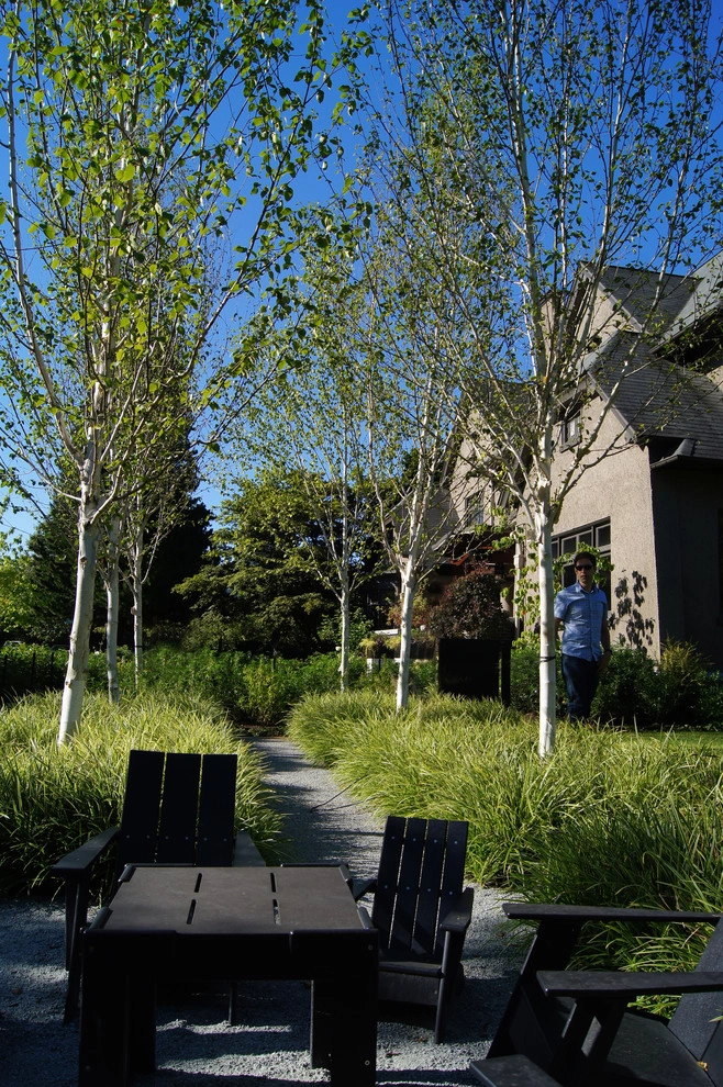 House on a Hill by Berger Partnership - Photo 11