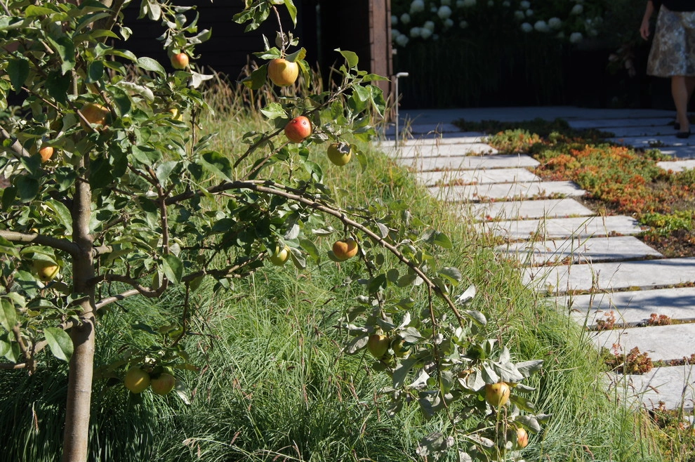 House on a Hill by Berger Partnership - Photo 6