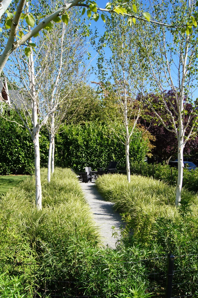 House on a Hill by Berger Partnership - Photo 9