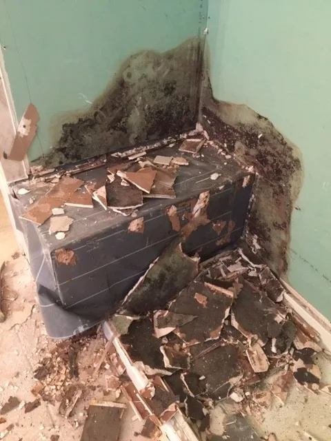 Contemporary Master Bath Overhaul by Redoux, LLC. - Photo 28