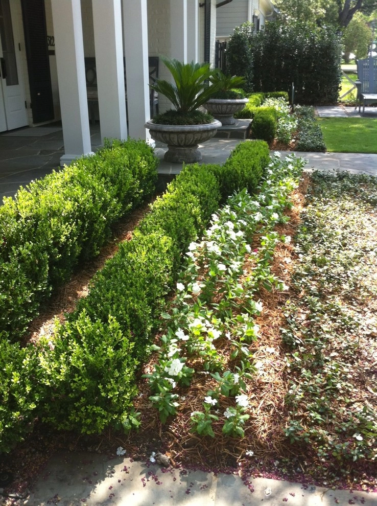 Drive Up Appeal by Brumley Gardens - Photo 2