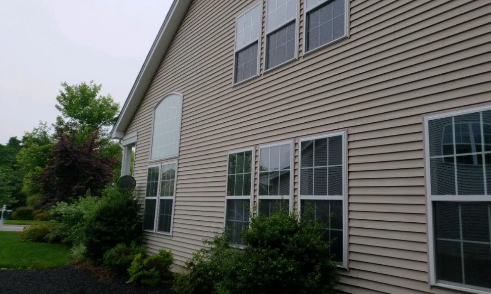 Decking and Exteriors by ELMM Design Build Solutions (TruPro Restoration) - Photo 8