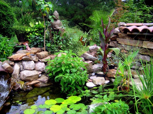 Raleigh - Exterior Projects by Vedic Gardens & Nursery, LLC - Photo 9