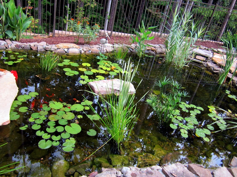 Raleigh - Exterior Projects by Vedic Gardens & Nursery, LLC - Photo 21