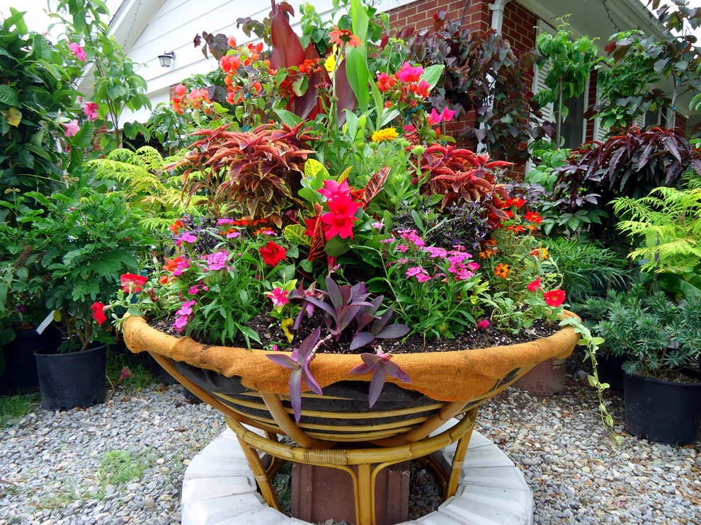 Vedic Nursery & Garden Center by Vedic Gardens & Nursery, LLC - Photo 4