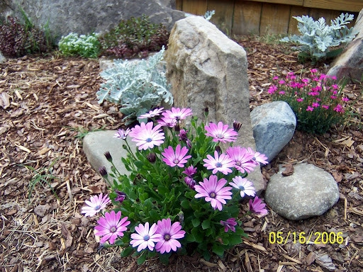 Vedic Gardens & Nursery, LLC - Photo 9