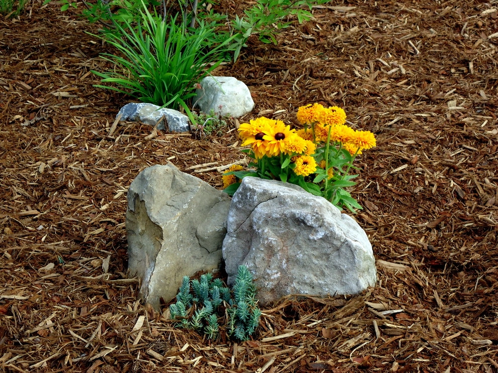 Vedic Nursery & Garden Center by Vedic Gardens & Nursery, LLC - Photo 6