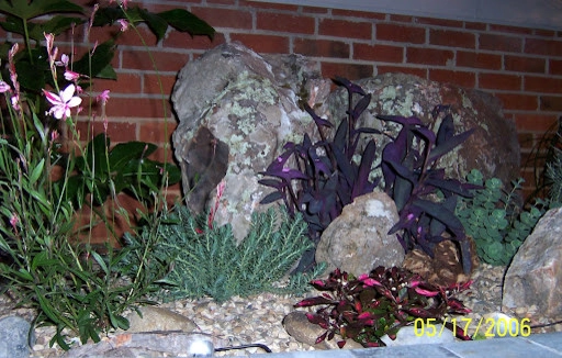 Raleigh - Exterior Projects by Vedic Gardens & Nursery, LLC - Photo 2