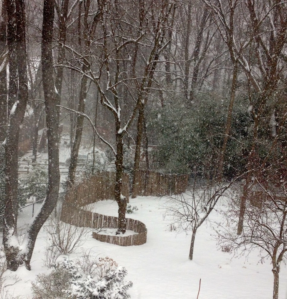Bethesda Garden Design Llc - Photo 12