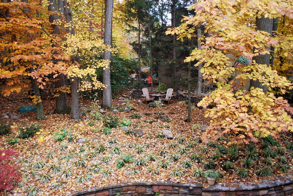 Into the Woods, Potomac by Bethesda Garden Design Llc - Photo 10