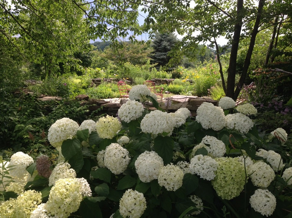 Favorite Plant Palette by Bethesda Garden Design Llc - Photo 5