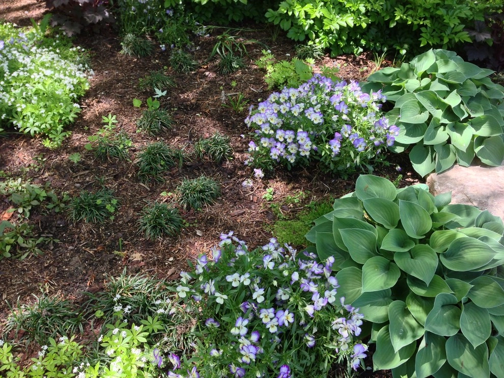 Whimsical Garden, Chevy Chase by Bethesda Garden Design Llc - Photo 2