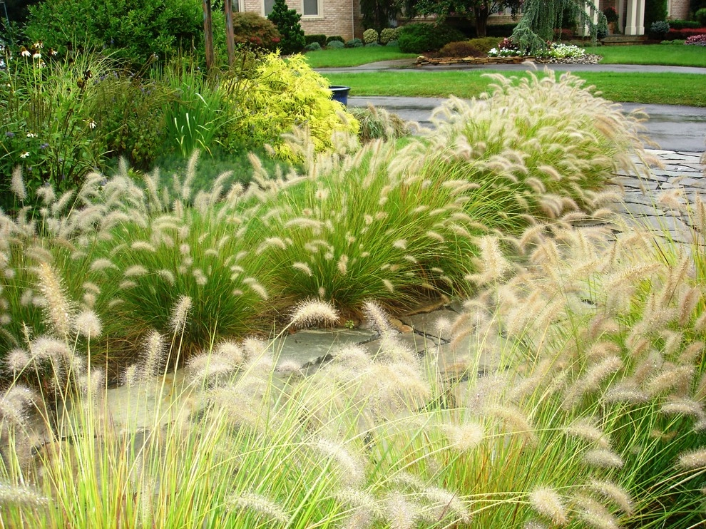 Arts & Crafts Garden, Bethesda by Bethesda Garden Design Llc - Photo 3
