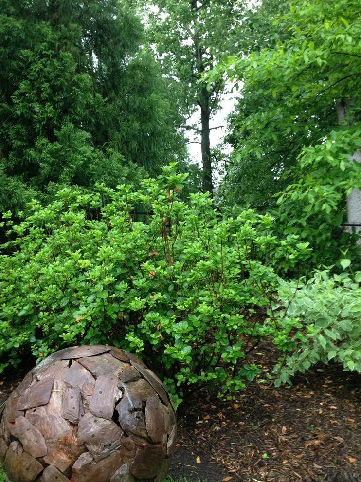 Spheres, Patterns & Surprises in the Garden by Bethesda Garden Design Llc - Photo 4