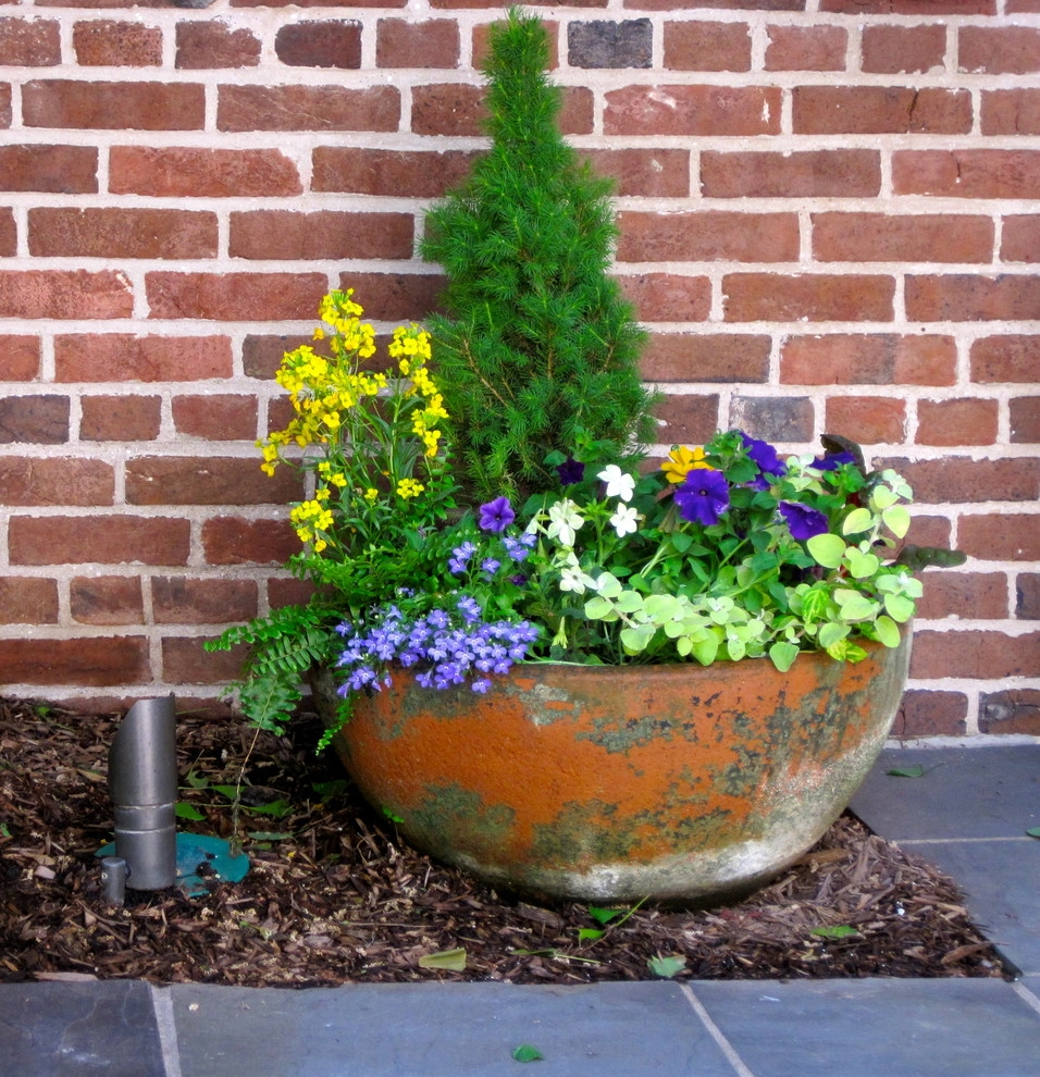 Containers, DC Metro Area by Bethesda Garden Design Llc - Photo 8