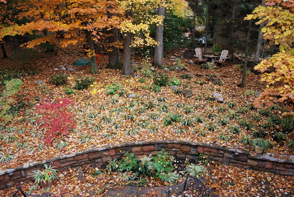 Into the Woods, Potomac by Bethesda Garden Design Llc - Photo 6