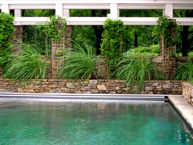 Paris Mountain Residence by Verdant Enterprises - Photo 7