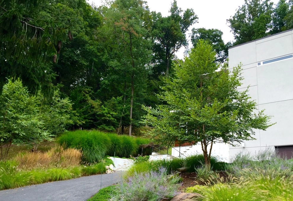 Favorite Plant Palette by Bethesda Garden Design Llc - Photo 3