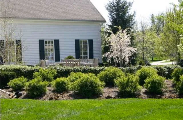 Jim French Builder - Photo 13