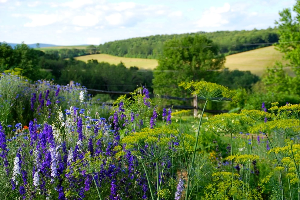 Country Farmhouse Garden by Bethesda Garden Design Llc - Photo 3