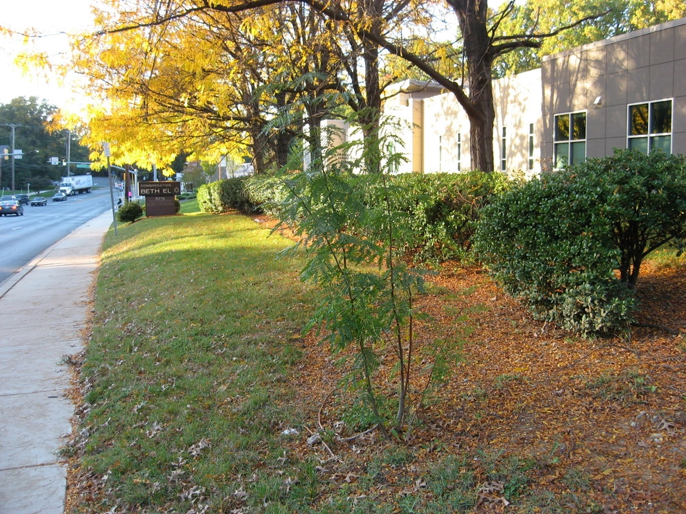 Beth El on Old Georgetown Road, Bethesda by Bethesda Garden Design Llc - Photo 3
