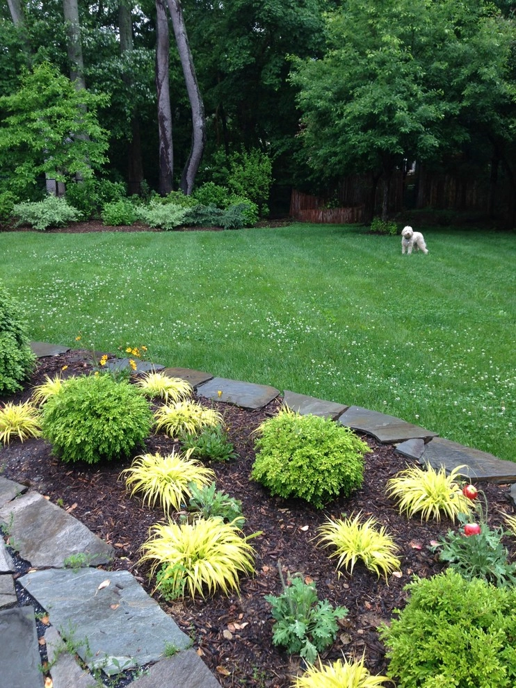 Arts & Crafts Garden, Bethesda by Bethesda Garden Design Llc - Photo 8