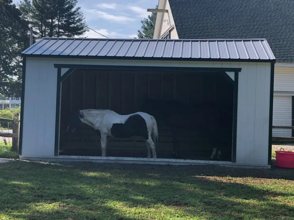 Pet Rescue Centers by FIRST TIER- Sheds & Structures - Photo 7