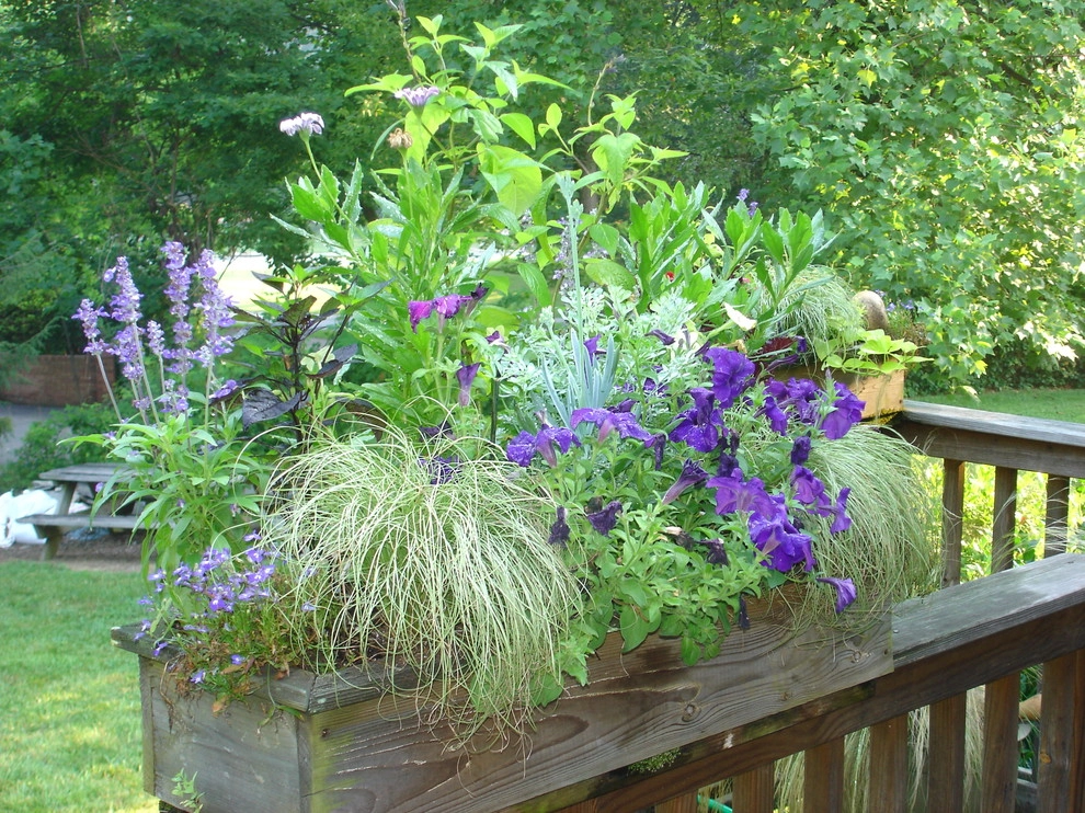 Containers, DC Metro Area by Bethesda Garden Design Llc - Photo 6