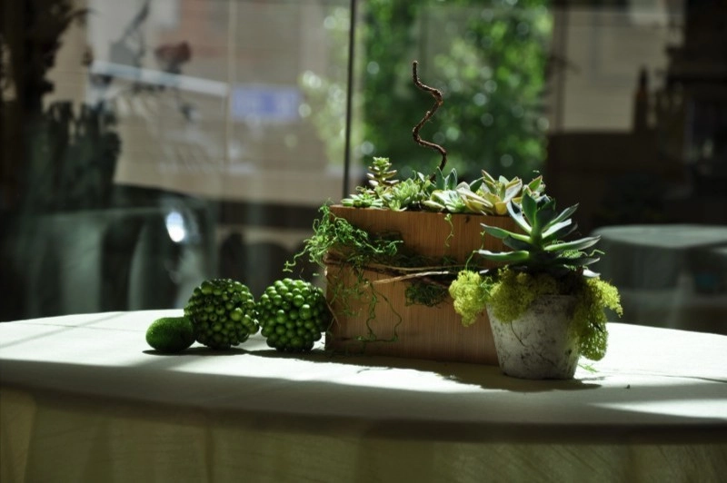 Nature in a Vase by Bethesda Garden Design Llc - Photo 8