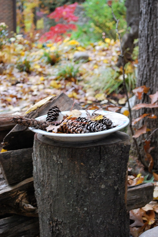 Into the Woods, Potomac by Bethesda Garden Design Llc - Photo 7