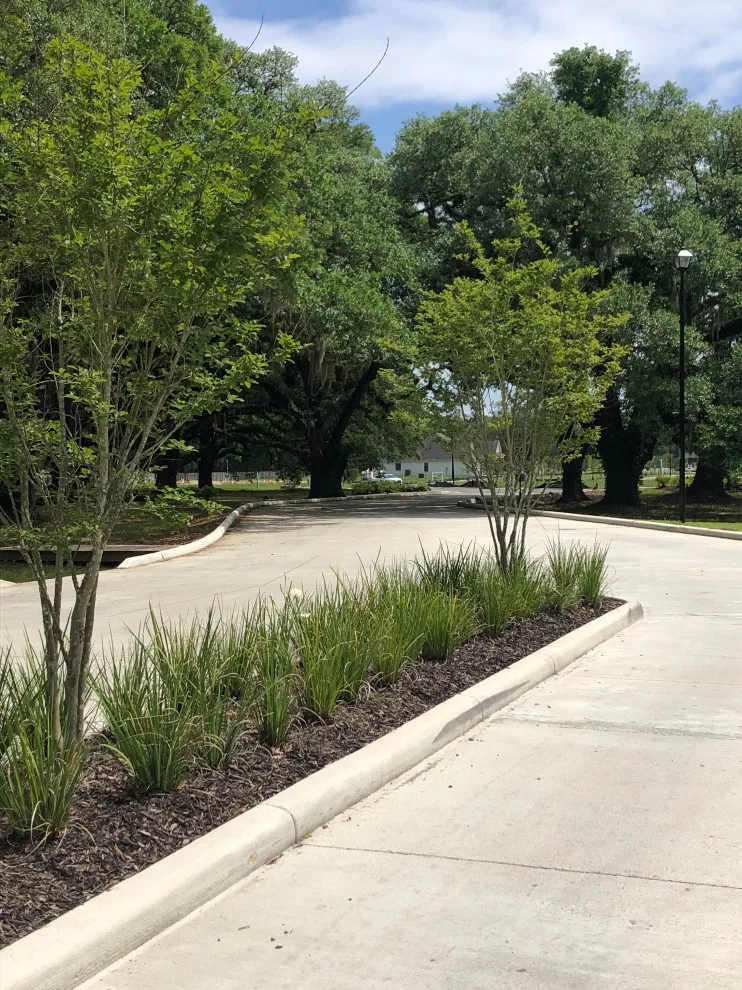 Tree Haven by Patterson Homes, LLC - Photo 8