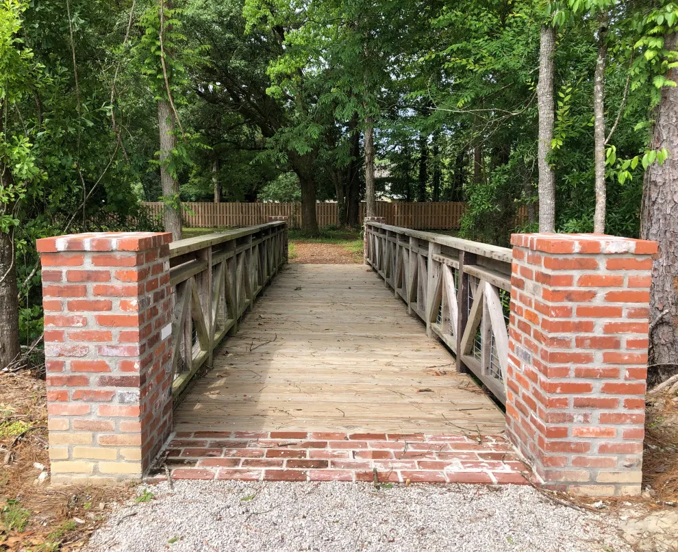 Tree Haven by Patterson Homes, LLC - Photo 15